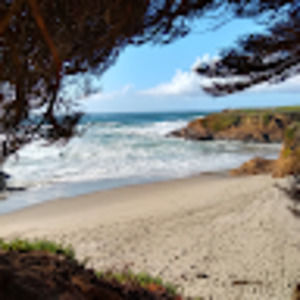 Meet your Posher, Joanna